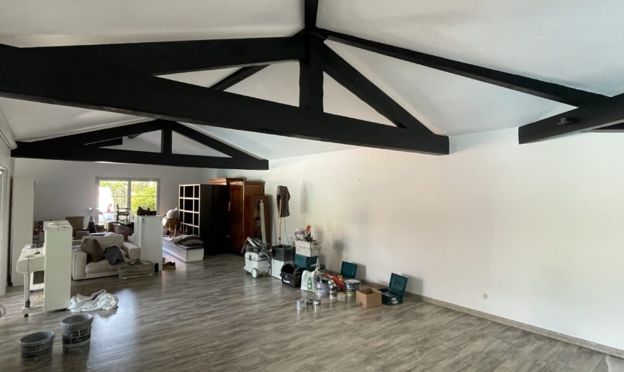 Rénovation complète d’un Salon en peinture, murs et plafond